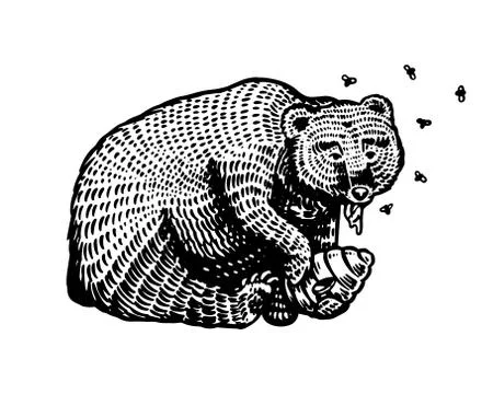 Grizzly Brown Bear eats honey. In a wild animal in the paw a beehive with bees 스톡 일러스트