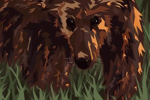 Grizzly Stock-Illustration