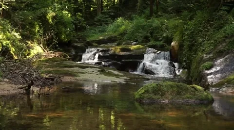 Grobbachtal in the Blackforest Stock Footage 65480761