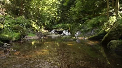 Grobbachtal in the Blackforests Stock Footage 65480750