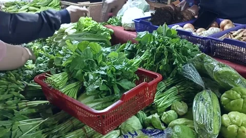 Groceries Shopping Video stock 243661884