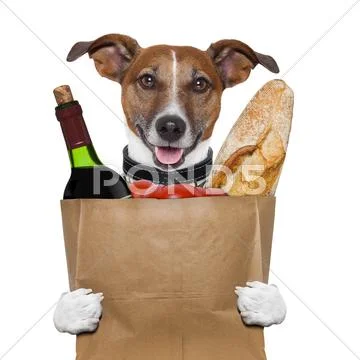 Grocery bag dog wine tomatoes bread Stock Illustration