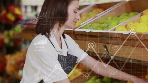 Grocery clerk reaching into bin as sorting lemons and tidying display, data Stock Footage 333657100