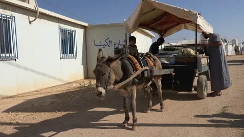 Grocery distribution by donkey in Zaatari Syrian refugee camp Jordan Stock Footage 71528493