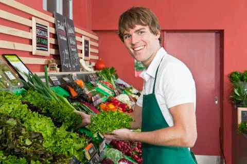A grocery stocker stocking leaf lettuce Stock Photos