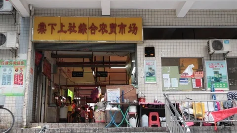 Grocery store Stock Footage 96281250