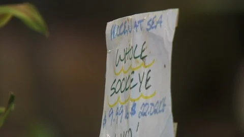 Grocery Store Stock Footage 123933163