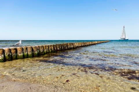 Groins at baltic sea Stock Photos