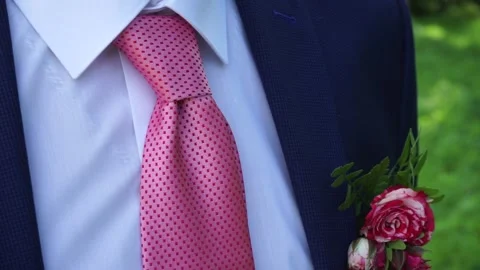 The groom adjusts the suit Stock Footage 163566746