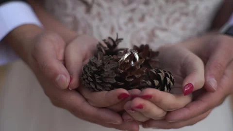 The groom and the bride found pine cones in hands Stock-Footage 305453005
