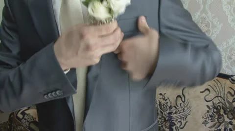 Groom Stock Footage 8977163