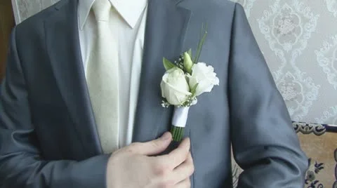Groom Stock Footage 8977190