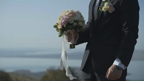 Groom Stock Footage 125491280