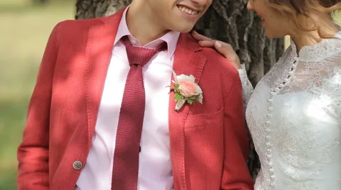 Groom Hugging Bride Stock Footage 54587185