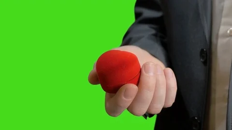 The groom opens the box with a wedding ring.Green screen Stock Footage 72294759