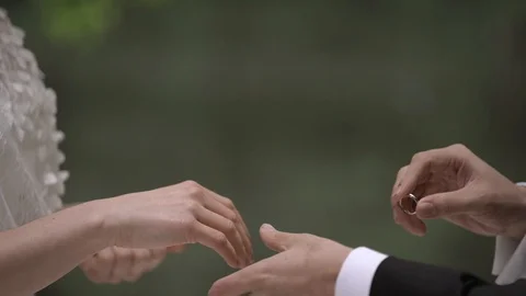 Groom put the bride a ring. Video stock 102369013
