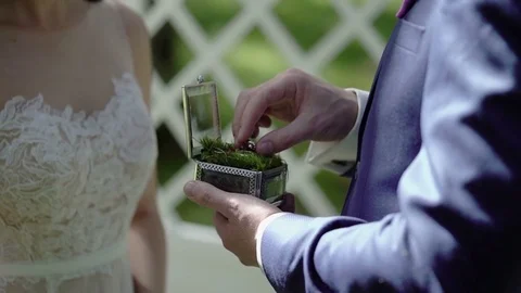 Groom puts on ring to bride hand on ceremony Stock Footage 72770511