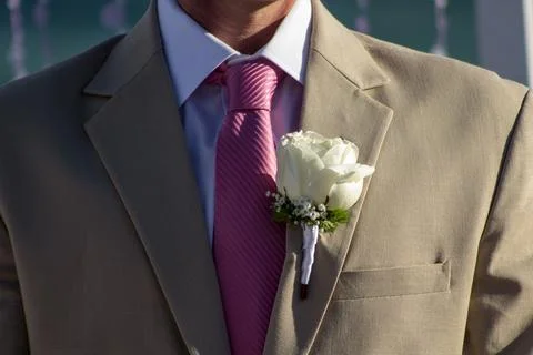 Groom ready Stock Photos