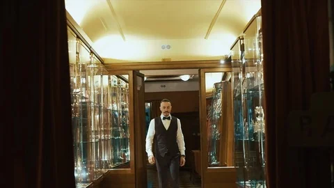 Groom Is Ready For The Wedding. Stock Footage 106092470