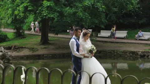 The groom standing behind the bride and hugs her Stock Footage 73274083