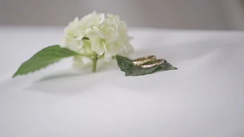 The groom takes a wedding ring to his bride during the wedding ceremony Stock Footage 111409654
