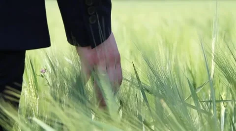 Groom walking on the field Stock Footage 61003004