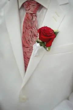 Groom in a white jacket with a bud, a red rose Stock Photos