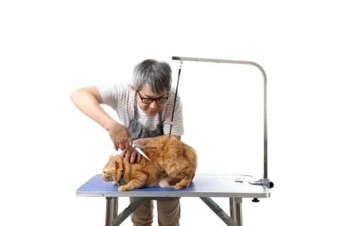 Groomer Stock Photos