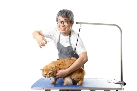 Groomer Stock Photos