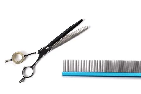Groomer tool. Set of various combs and scissors for pet hair Stock Photos