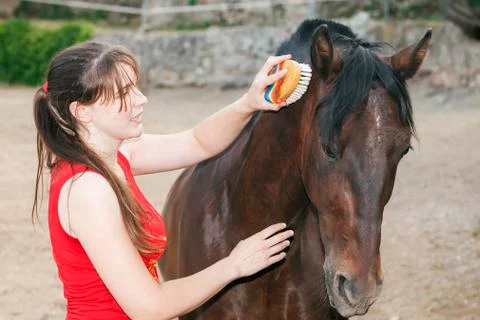 Grooming Stock Photos