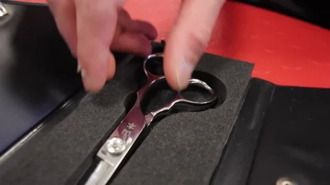 Grooming toelettatore scissors Video stock 135584050