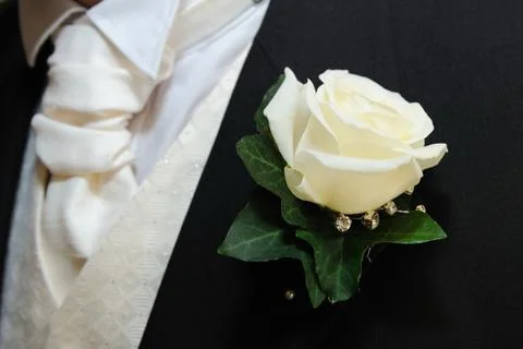 Grooms buttonhole. Stock Photos