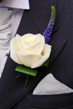 Grooms buttonhole at wedding Stock Photos