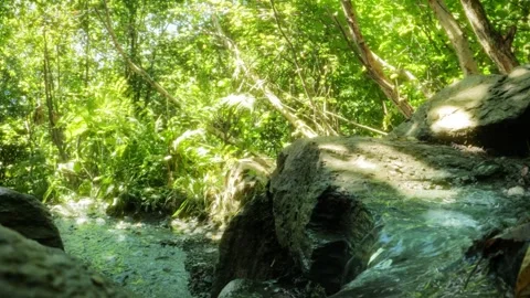 Groove or spring with tiny waterfalls in mountain forest - loop video Video stock 243747994