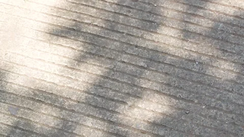 Grooved concrete pavement texture with soft tree shadows and sunlight. Stock Footage 335775516