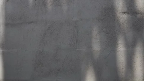 Grooved concrete pavement texture with soft tree shadows and sunlight. Stock-Footage 335776004