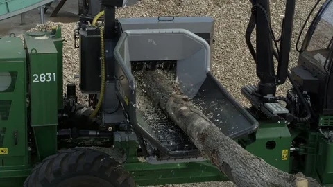 Grooved rollers drag the timber into its feed funnels, woodchipper at work Stock Footage 71270006