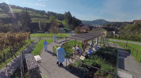 A grope of elderly people walking around the park Stock Footage 46875236