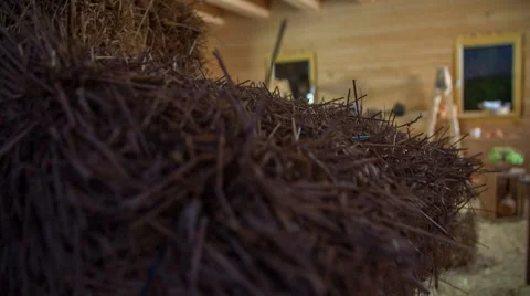 Grope of people on the pottering class Stock Footage 46861249