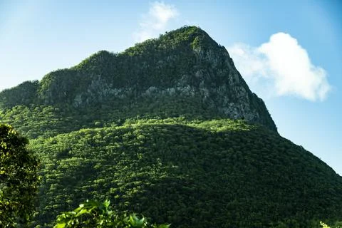Gros piton Foto stock