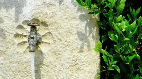 Gros Plan d'une fontaine dans un jardin fleuri. Vidéo 23910318