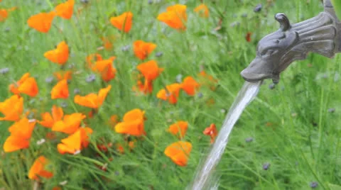 Gros Plan d'une fontaine dans un jardin fleuri. Vidéo 23910438