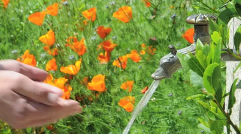 Gros Plan d'une fontaine dans un jardin fleuri. Vidéo 23911069