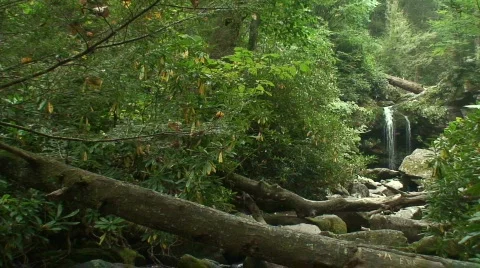 Grotto Falls 3 Stock Footage 721818