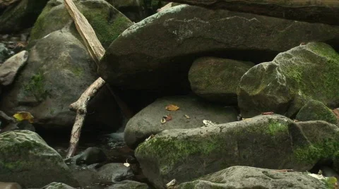 Grotto Falls 4 Stock Footage 721883