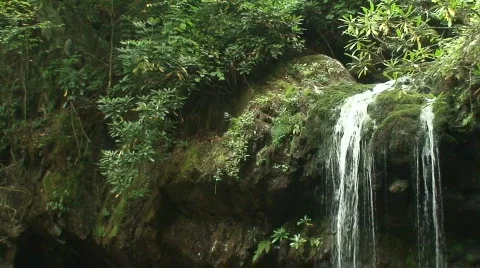 Grotto Falls 6 Stock Footage 721996