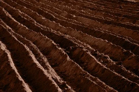 Ground and Sand Texture, background in the Color of the Year 2025 Mocha Mousse Stock Photos