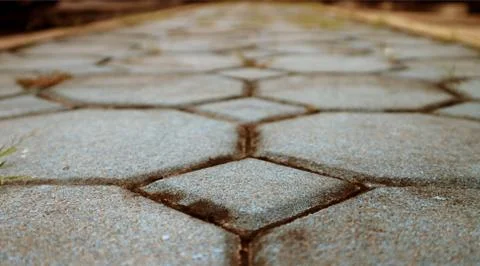 Ground angle of empty cement block pavement in the garden 스톡 사진