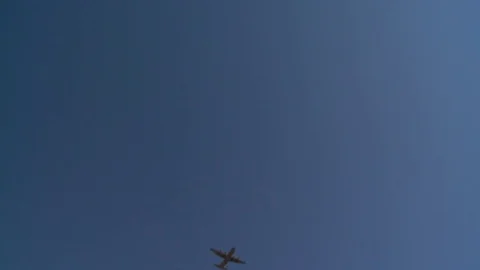Ground angle view of paratroopers parachuting to earth. Stockbeeldmateriaal 74808056